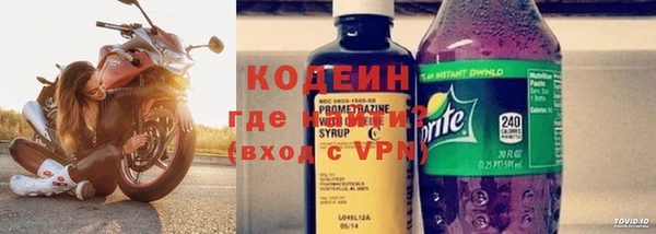 прущие грибы Белокуриха