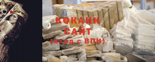 прущие грибы Белокуриха