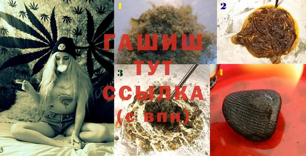 прущие грибы Белокуриха