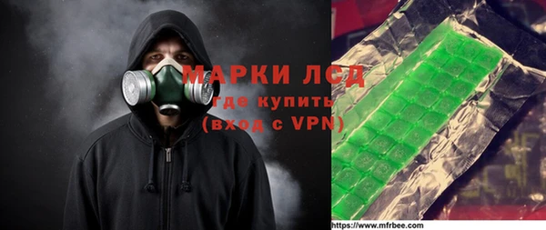 прущие грибы Белокуриха