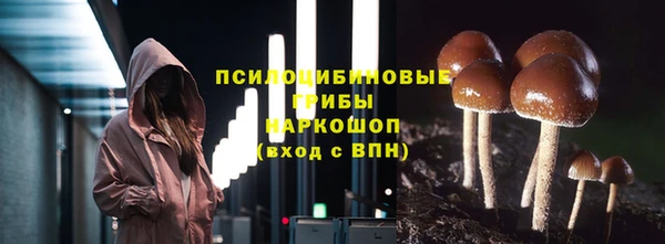 прущий лед Белоозёрский