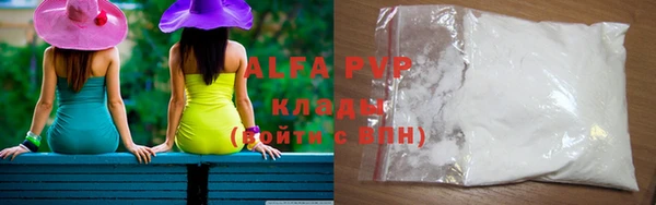 прущие грибы Белокуриха