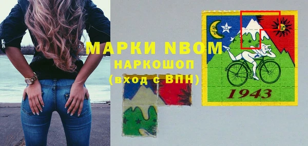 прущие грибы Белокуриха