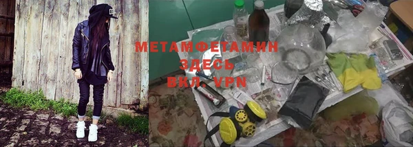 прущие грибы Белокуриха