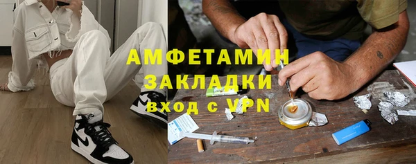 прущие грибы Белокуриха