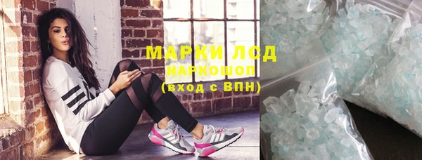 прущие грибы Белокуриха