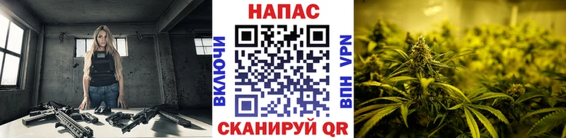 Канабис White Widow  наркотики  Гудермес 